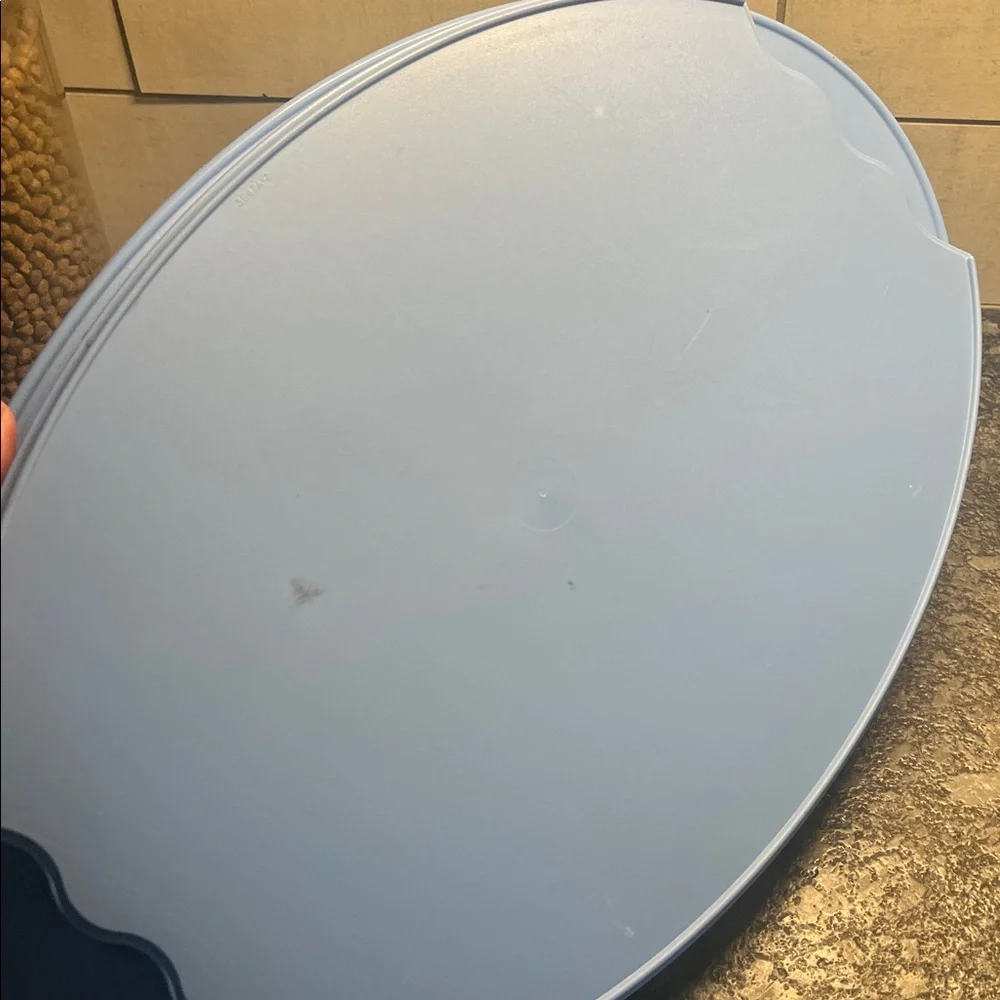Tupperware Blue Impressions Oval Serving Tray. Looks to be new 17.5”